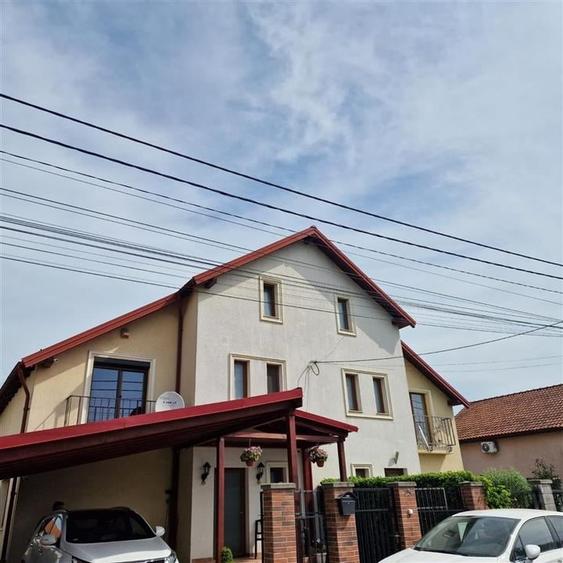 Vila Noua Mosnita Noua - 1