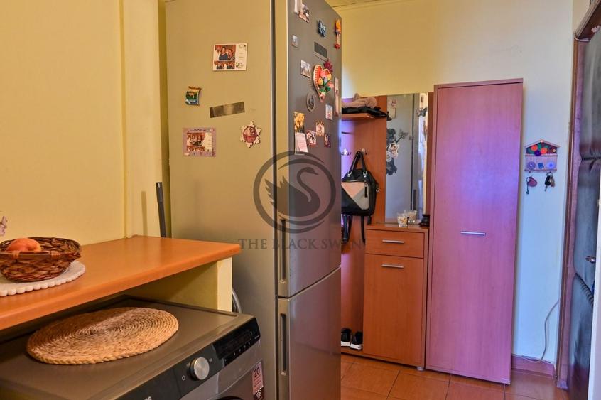 Apartament cu 3 camere de vanzare | Mobilat | Malu Rosu | Comision 0% - 11