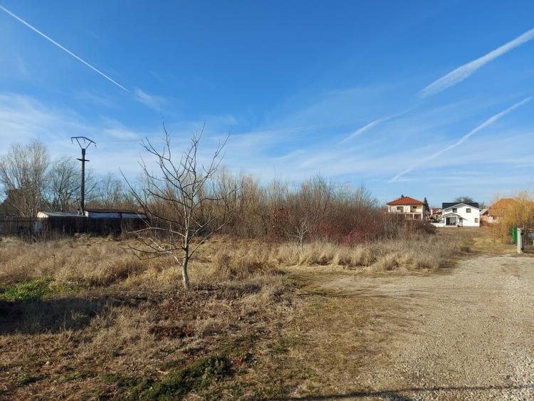 Loc de casa cu utilitati, 944mp cu 29m deschidere, Ciofliceni - Snagov! - 9