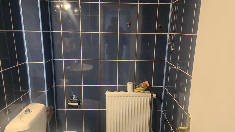 Inchiriez spatiu comercial cu destinatie de birouri in Deva, zona I. Creanga, - 10