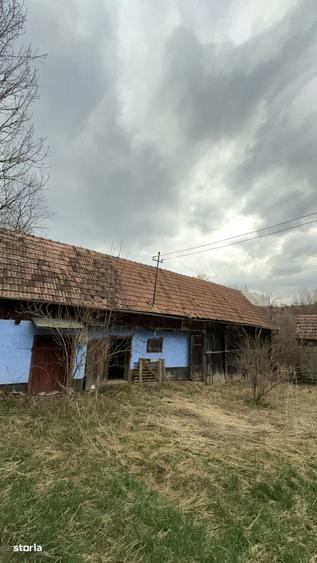 Casa de vanzare in Stupini, comuna Sanmihaiu de Campie teren 35 ari - 10