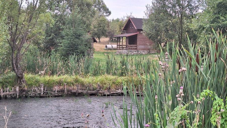 VANZARE ANSAMBLU CASUTE BRADULET ARGES - 14