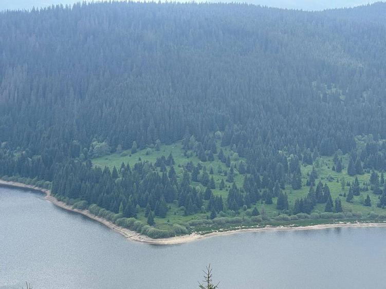 vand teren 7500 mp langa lacul belis fantanele 60.000 euro - 2