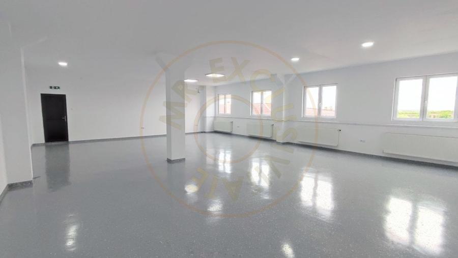 Inchiriere Spatii de Birouri/Productie - Str. Uzinei - Carei - Comision 0% - 2