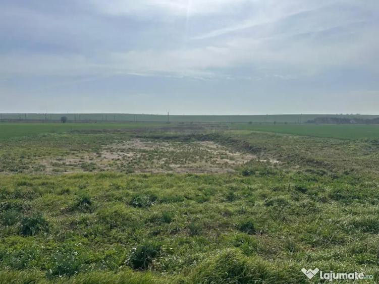 Teren extravilan 10.000 mp, DN-reprezentanta VOLVO -dezmembr - 9