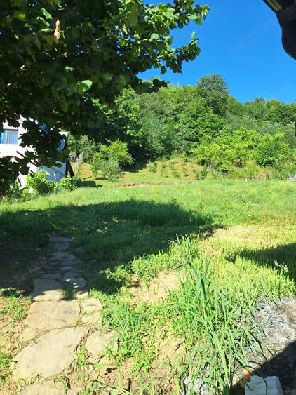 Casa de vanzare in DB, Visinesti, Urseiu - 8