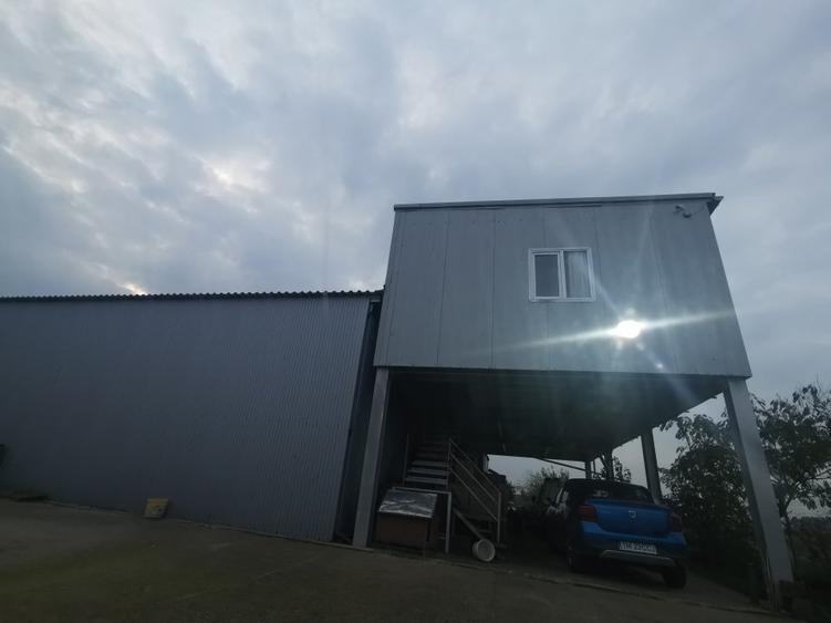 Hala Padureni 300 mp - 1