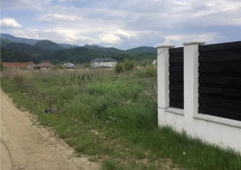 Teren intravilan Cristian 1000 mp - 2