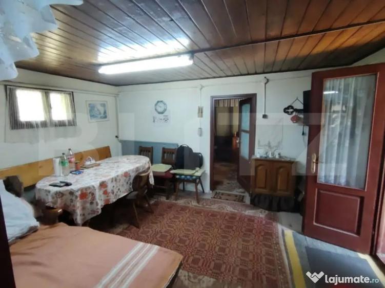 Cabana 5 camere Salard - 3