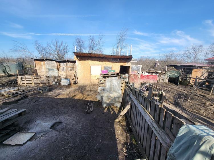 Vand gospodarie LETCA NOUA la 25 min de Bucuresti - 7