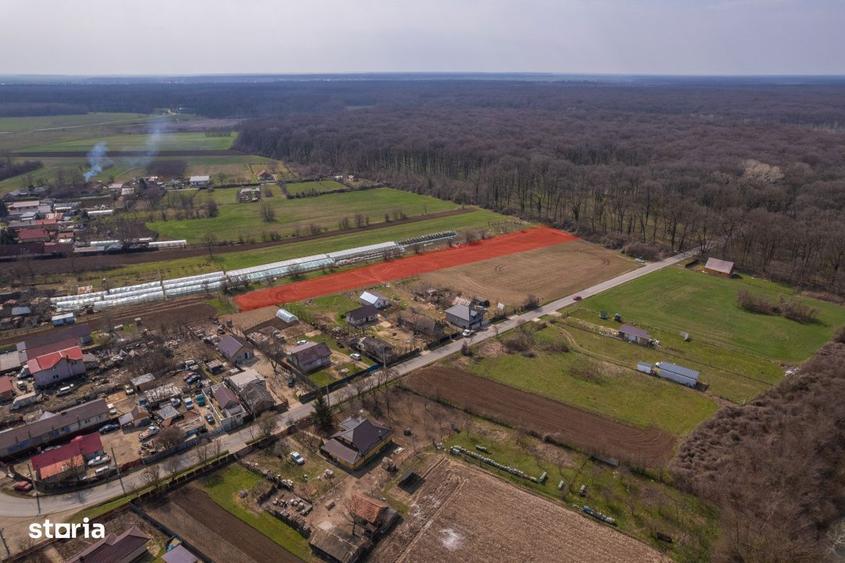 Nuci - Balta Neagra, Lot 3900 Mp, La Padure! - 1