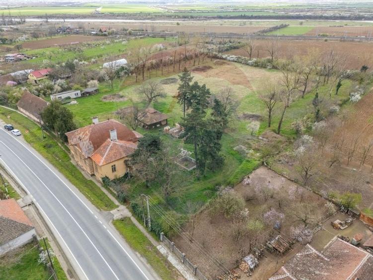 Conac aristocratic secolul XIX , domeniu  2,5 hectare — Păuliș, Arad - 4