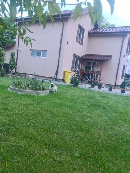 Casa de vanzare in Clocociov str Boiangiului - 4