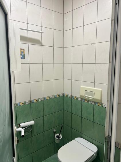 Casa Individuala Ferdinand recent renovata, pretabila Firme, Salon Beauty - 6