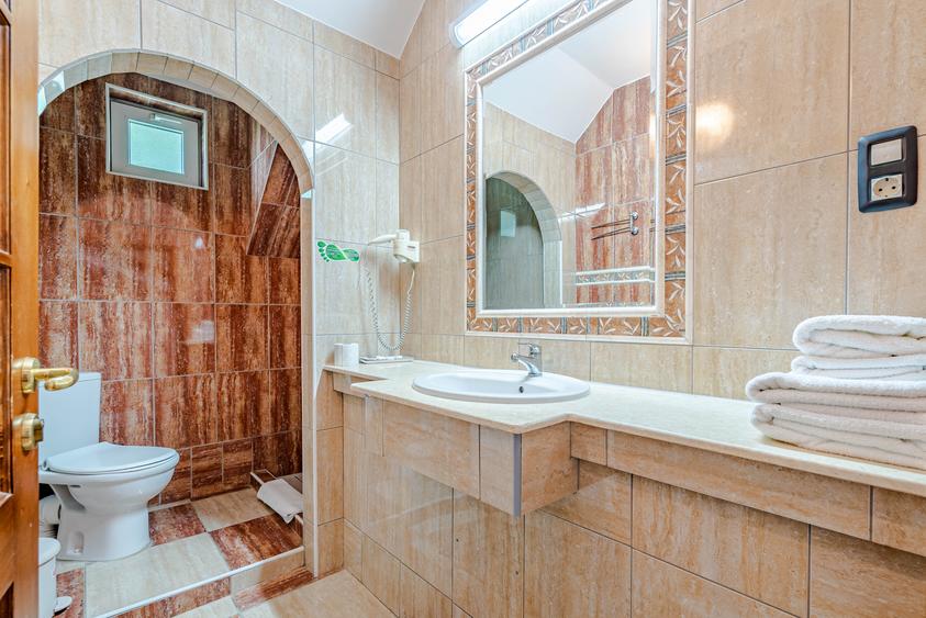 PROPRIETATE MULTIFUNCȚIONALĂ (POTRIVITĂ PENSIUNE / COMPLEX REZIDENȚIAL) - 10