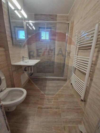 Apartament cu 2 camere de inchiriat in zona Calea Severinului - 4
