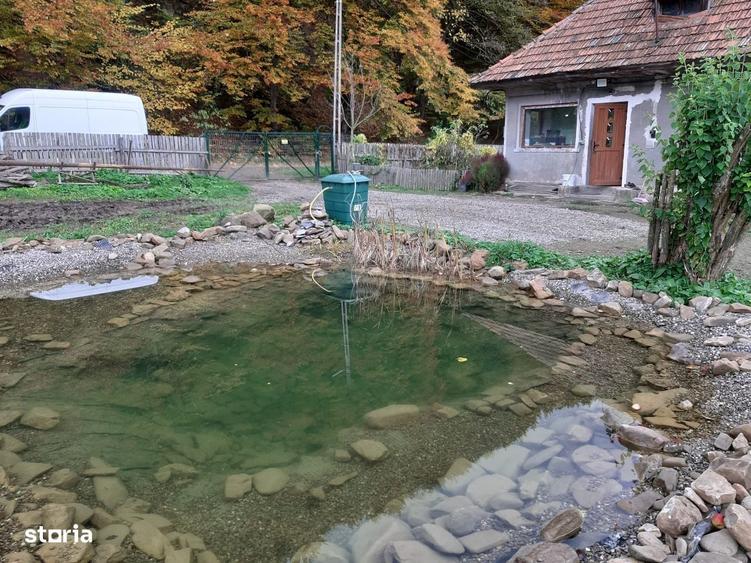 Casa cu teren generos si parau - 7