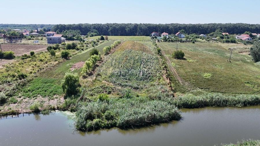 Teren de vanzare Lacul Snagov Teren de vanzare Lacul Snagov