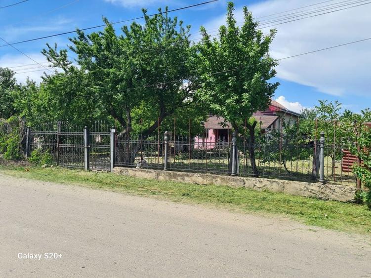 Teren intravilan si casa - 6