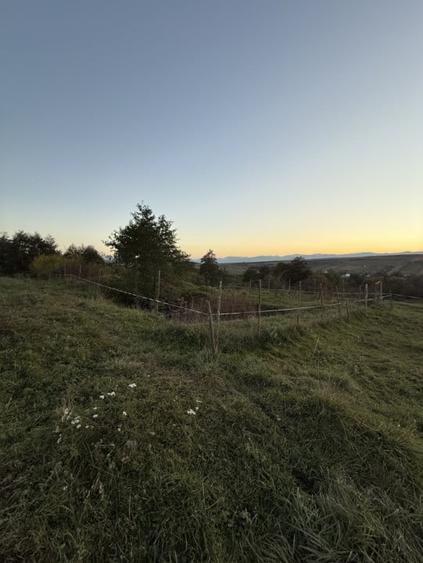 Teren extravilan de vanzare in Salicea 916mp+84mp drum necesita PUZ - 1