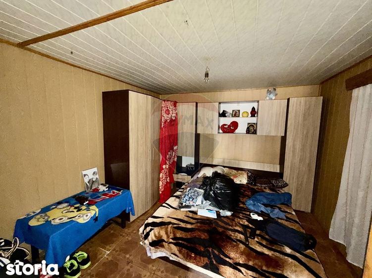 Casa cu 4 camere si teren 7727 mp Blidari - 18