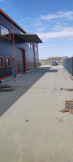 2 hale noi Voluntari -Afumati Doraly - 3