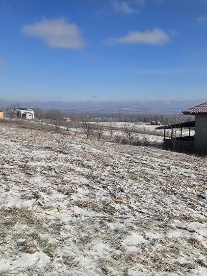 Teren 571 mp Chicerea-Tomesti - 8