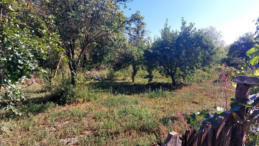 Casa 3 cam. + anexe, teren 2000mp, drum asfaltat Barcanesti(Ialomita) - 2