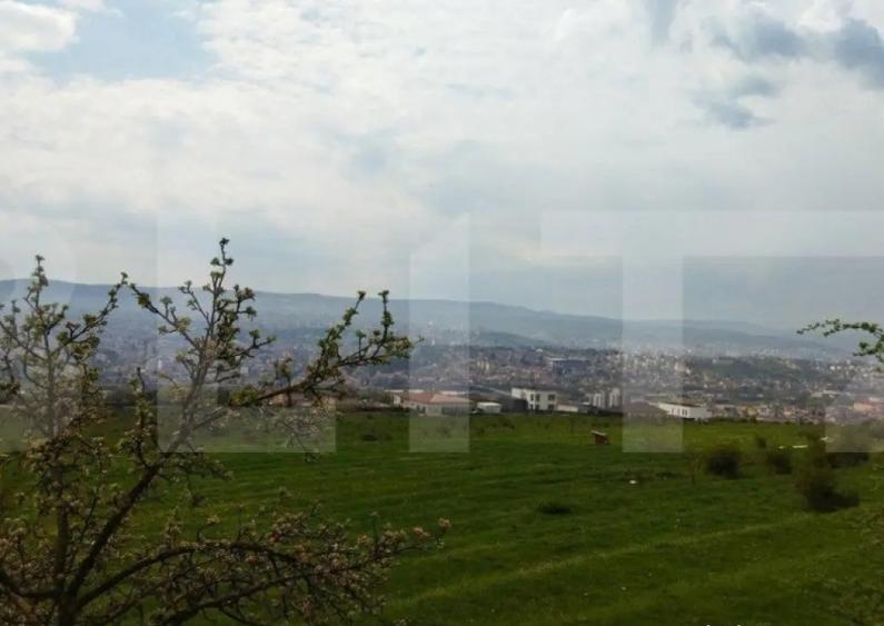 Teren extravilan, Dambul Rotund, 8310 mp - 1