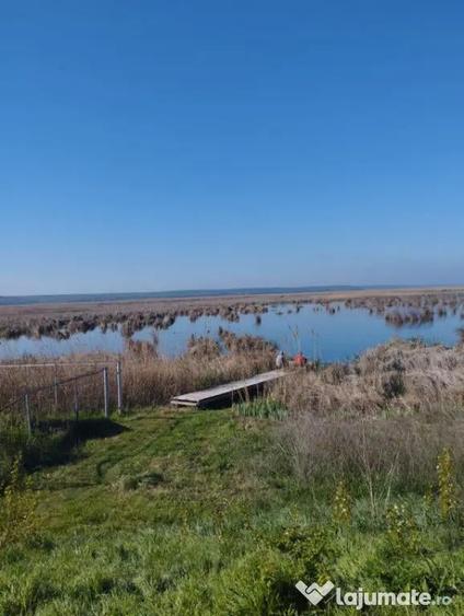 Vand teren intravilan 4000MP cu dechidere la Delta Neajlovu - 8