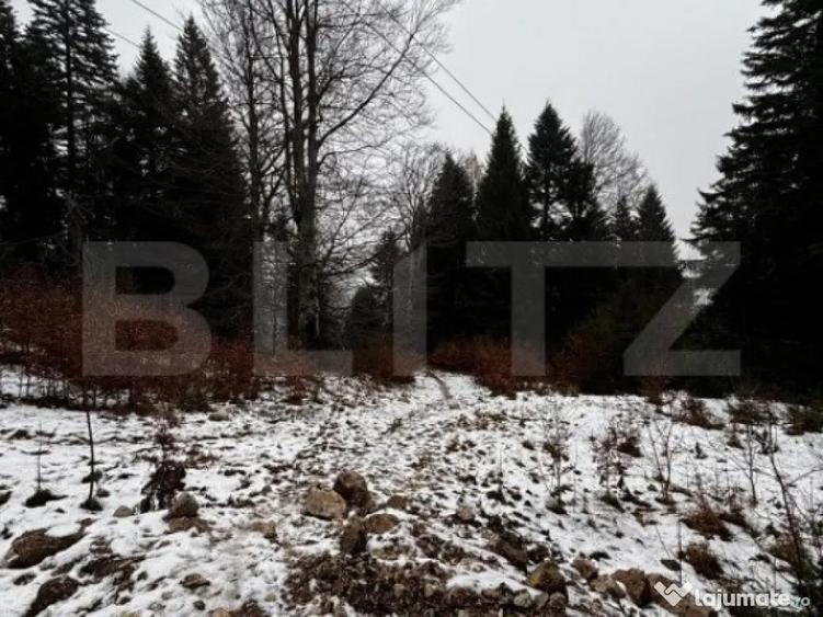 Teren unic, exclusivist 4000 mp, in inima muntilor, Sinaia - 2