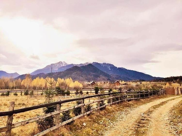 Teren de vânzare, 1433mp Rasnov Glajerie - 1