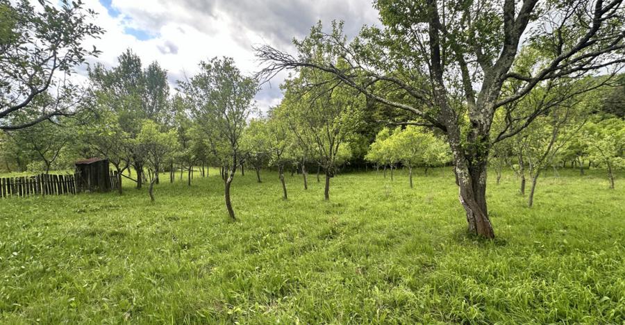 Teren intravilan 3102mp zona Racovita-Blanoiu - 5