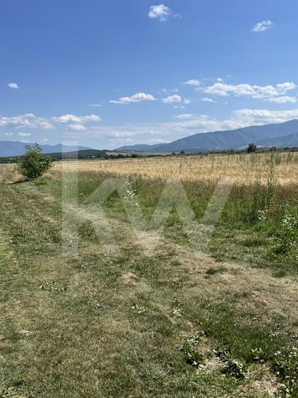 Teren agricol extravilan de 720 mp, în Cisnădie