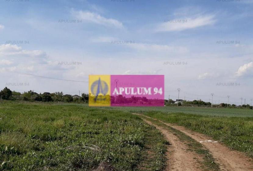 Teren investitie Ilfov - 5