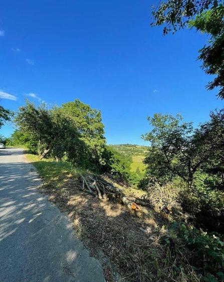 Teren zona turistica Rosia - 5