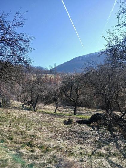 Casa ?i teren in Mun?ii Apuseni la 18 km de municipiul Deva - 1