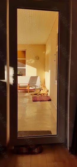 Case + teren 3000mp. de vanzare - 5