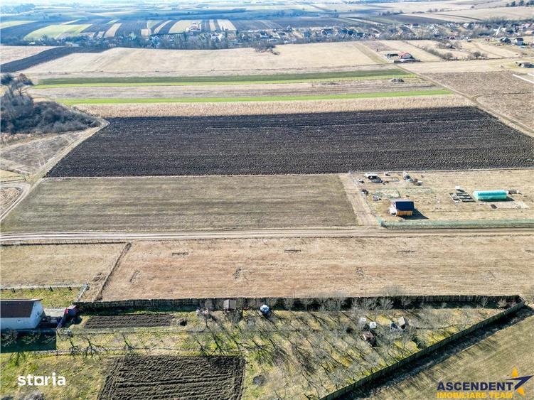 FILM! Liniste si aer curat in proximitatea Municipiului Sfantu Gheorgh - 8