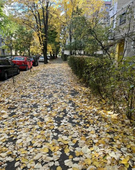 Propietar vand apartament 2 camere - 1