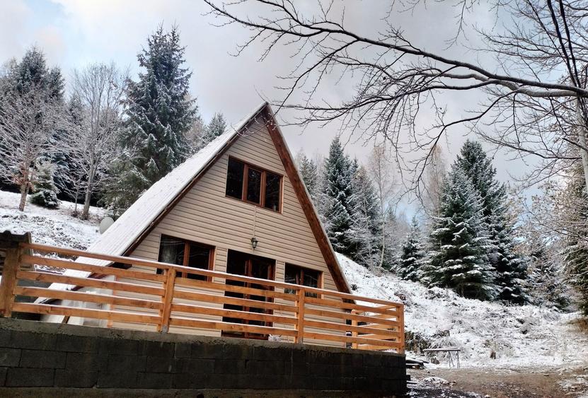 Cabana de Vanzare - 3