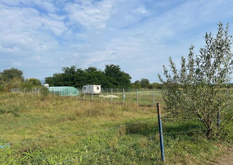 Teren intravilan Halchiu, str. Feldioarei 1600 mp - 3