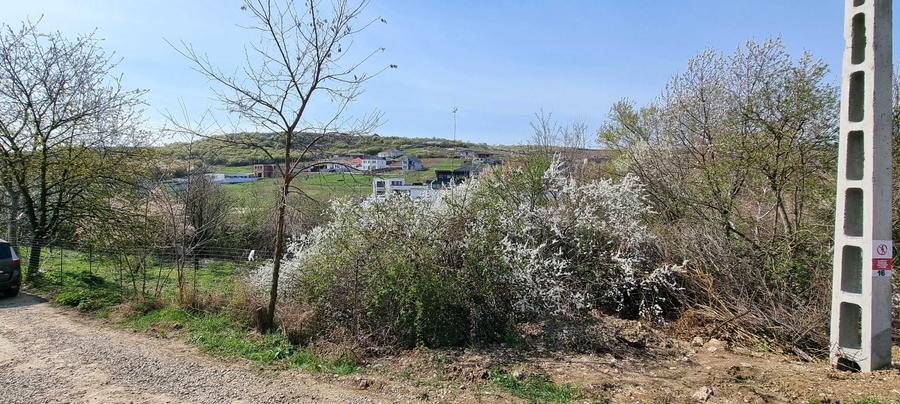 Teren Intravilan Oradea (Saldabagiu de Munte)Zona Hanul Pescarilor - 6