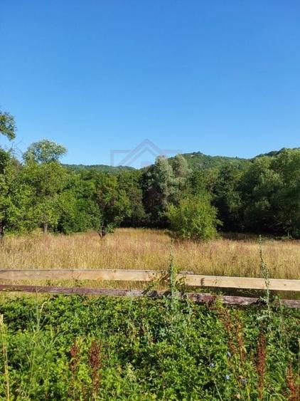 TEREN INTRAVILAN ZĂVOI\ZONA VALEA BISTREI, JUD.C-S - 4