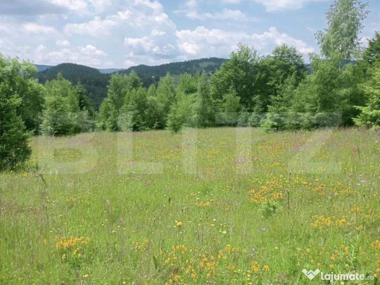 Teren intravilan de vanzare, 12000mp, Trance?ti, Scari? - 7