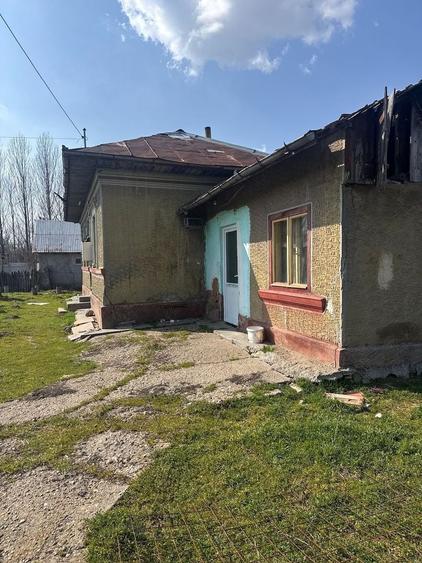 Teren+ casa Gostinu - 5