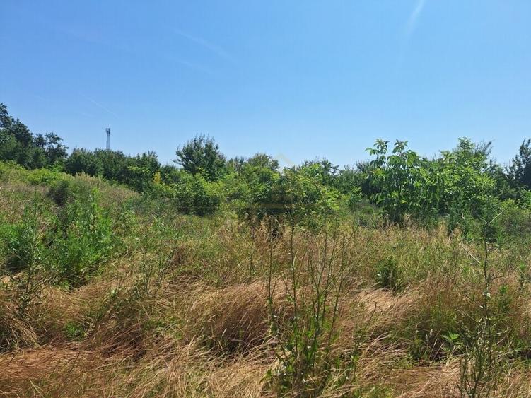 TEREN INTRAVILAN-748 MP-ADIACENT MIRASALU - 2