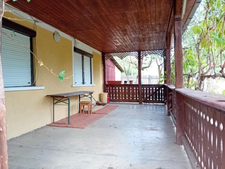 Teren intravilan 68 Ari cu Casa 80 mp Viile Satu Mare - 2