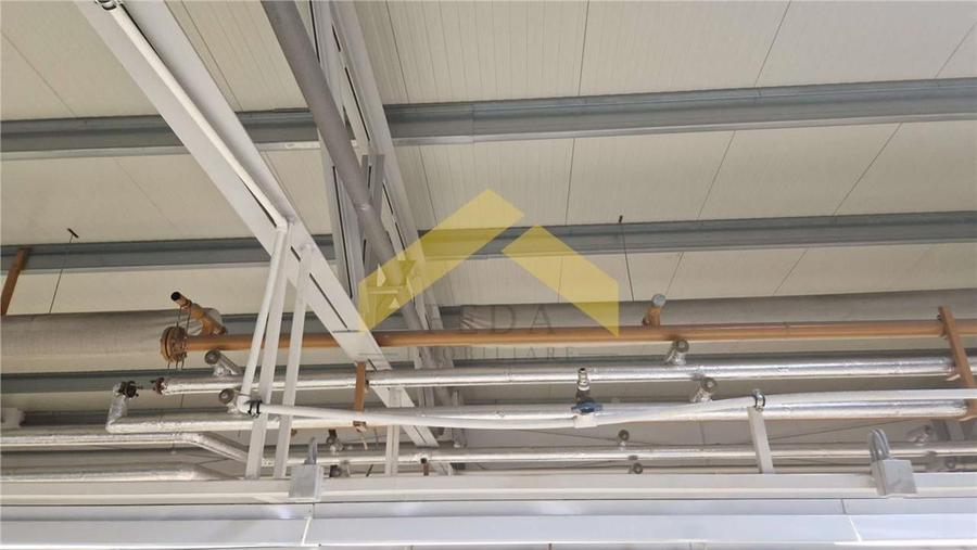 Hala industriala de vanzare in loc. Sfantul Gheorghe, jud. Covasna - 11