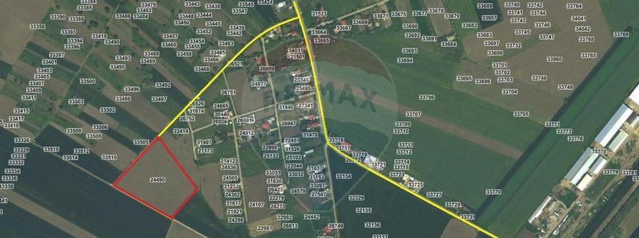 Teren intravilan - 17.500 mp - Gostilele Fundulea - 12